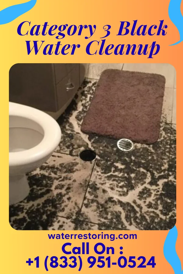 Category 3 Black Water Cleanup in Granite Quarry, NC
