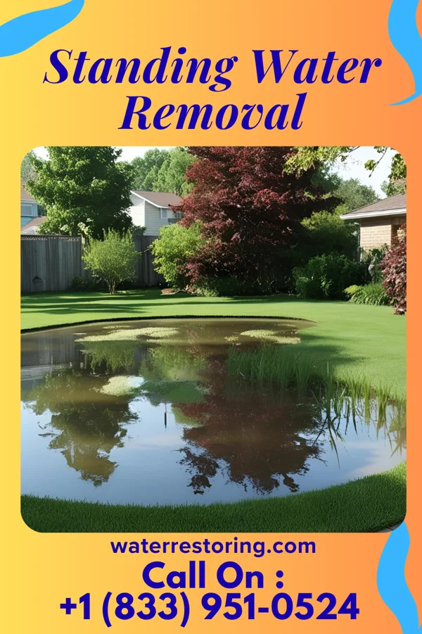 Standing Water Removal in Granite Quarry, NC